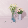 场景·斜阳花影图标