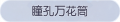 2025年3月20日 (四) 00:43版本的缩略图