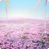 场景·藏花于海图标