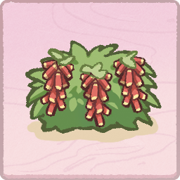 海岛植物-爆竹花-红.png