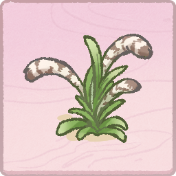 海岛植物-虎尾草-棕.png