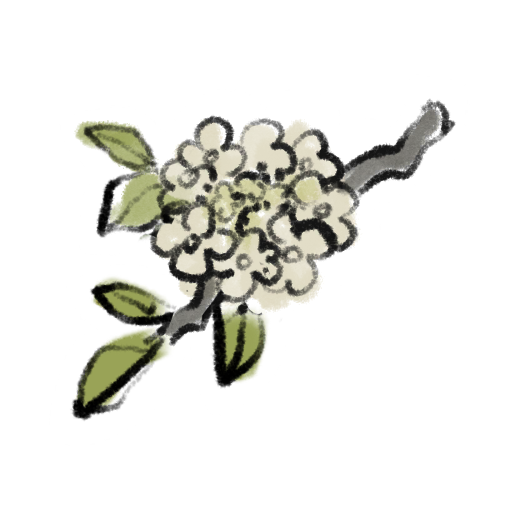 花灯绘-琼花玉叶.png