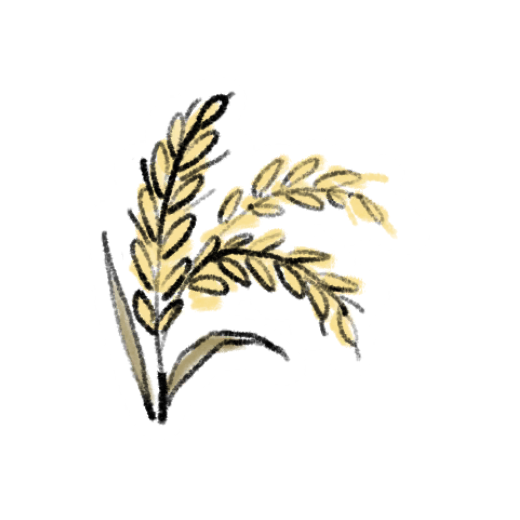 花灯绘-金穗垂芒.png