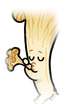 小头像-喇叭菌.png