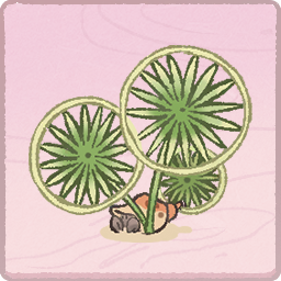 海岛植物-风扇蒲葵-绿.png