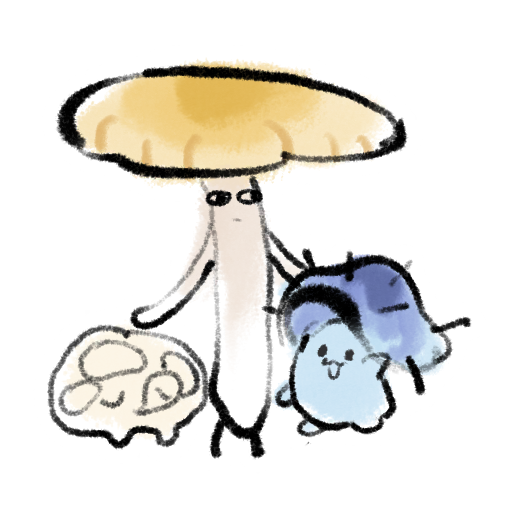 花灯绘-南阳三菌子.png