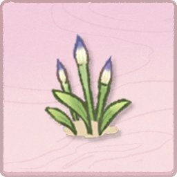 海岛植物-笔头草-紫.png