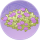 勤娘子·芳辰.png