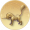 金獬豸.png