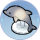 海豚灯·拊云.png