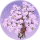 花树·似锦.png