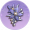 朱栾压襟·露蕊.png