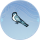 鹦鹉·柳青.png