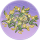 香雪兰丛·春庭.png