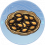 瓜子.png