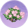 鹃海·桃春.png
