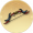 弓·朱玄.png
