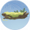 柏木枝干·凡品.png
