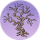 仙姿木·霜蟾.png