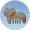 猫毛梳·木.png