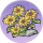 葵花丛·清澜.png