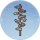 引路牌·翠樽.png