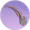 流云垂虹·贰.png