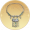 长命锁·银烁.png