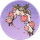彩灯门·金胜.png