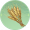 小麦.png
