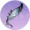 乌夜啼·壹.png