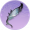 乌夜啼·壹.png