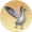 大雁.png