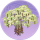 金灿灿·溪风.png