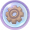 机关齿轮.png