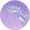 织锦流星·贰.png