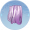 浸染丝.png