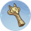琴轸钥.png