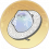 魂魂玉环.png