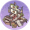 载月烧.png