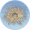 枝骨架.png