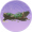 葛藤木·珍品.png