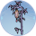 卷灯·似锦.png