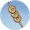 烤串钱.png