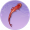 丹羽·壹.png