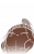 小头像-离魂马超-魂魂.png