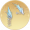 鸾羽钗·雪翼.png