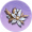 朱栾压襟·霜瓣.png