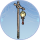 照夜明·催青.png