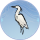 船顶白鹭·桃春.png